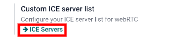 The "ICE Servers" button in SotaERP General Settings.