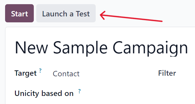 Launch a test button on a campaign detail form in SotaERP Marketing Automation.