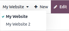 Website selector